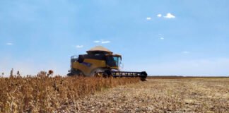 Prazo para colheita de soja nas Planícies Tropicais encerra neste sábado, 20