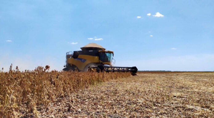 Prazo para colheita de soja nas Planícies Tropicais encerra neste sábado, 20