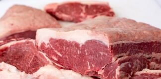 carne bovina - exportações