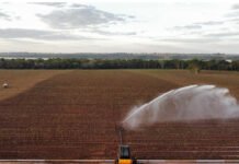 Cana-de-açúcar pode garantir energia elétrica em época de seca, diz estudo Leandro dos Santos Morais - irrigação em lavoura de cana-de-açúcar