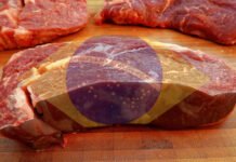 carne bovina estampada com bandeira do brasil