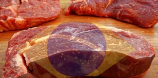 carne bovina estampada com bandeira do brasil