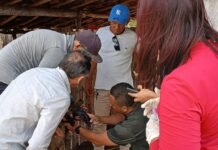 Captura de fotos da mucosa ocular pelo aplicativo ajudam a identificar animais com sintoma de anemia, um indicador da verminose