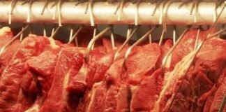 carne bovina, carnes, abate