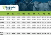 Indicador do Boi Gordo Datagro