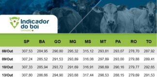 Indicador do Boi Gordo Datagro