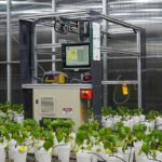 Wilson Aiello - O robô é um protótipo, mas já registra resultados promissores no diagnóstico de infecção por nematoides em experimentos realizados em casa de vegetação