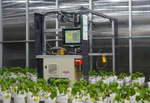 Wilson Aiello - O robô é um protótipo, mas já registra resultados promissores no diagnóstico de infecção por nematoides em experimentos realizados em casa de vegetação