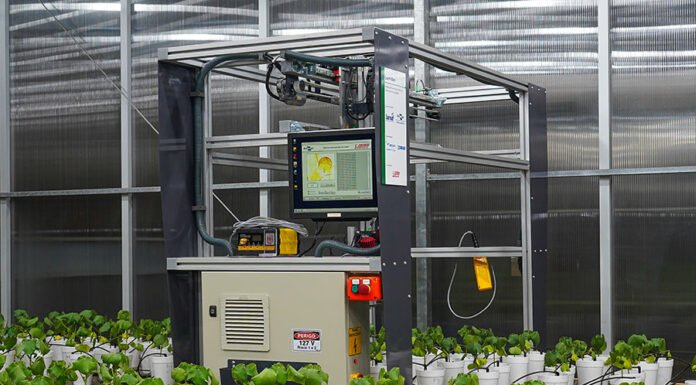 Robô usa luz para diagnóstico precoce de doença em algodão e soja Wilson Aiello - O robô é um protótipo, mas já registra resultados promissores no diagnóstico de infecção por nematoides em experimentos realizados em casa de vegetação