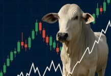 Boi gordo tem preços firmes e indica tendência de alta em algumas praças derivativos boi gordo
