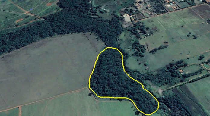 Google Earth - Área onde o estudo foi realizado