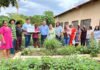 Governo do Tocantins beneficia 42 mil agricultores familiares com entrega de kits de hortifrúti e sementes pelo programa Mesa Farta