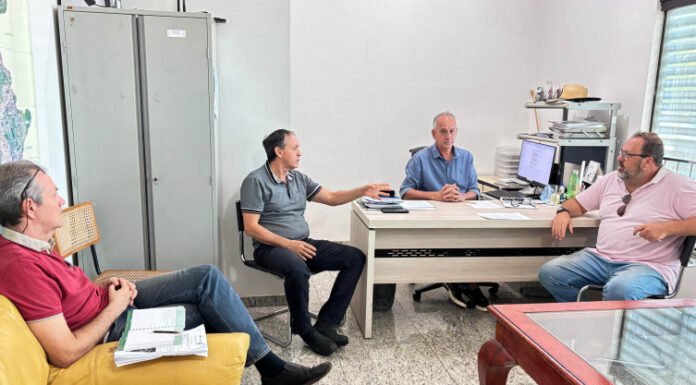 Governo do Tocantins e produtores articulam criação da Câmara Setorial de Florestas Plantadas