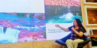 No Rio de Janeiro, Governo do Tocantins participa do 3º Seminário sobre Sustentabilidade e Inovação no Artesanato