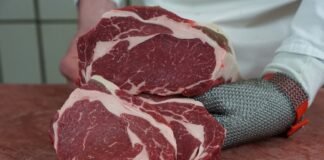 carne bovina exportações China