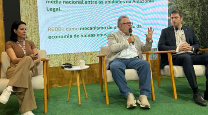Tocantins chega à COP30 como protagonista em sustentabilidade e mercado de carbono