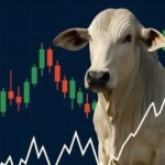 demanda aquecida segue elevando preços derivativos boi gordo