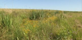 o que fazer para impedir prejuízos na fazenda?