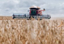 Adapec celebra 27 anos de fortalecimento ao agronegócio tocantinense