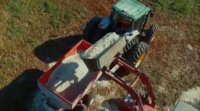 Calagem no início do período chuvoso é segura, afirma especialista