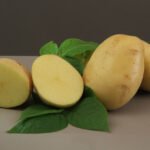 Embrapa lança cultivar de batata para a indústria de chips e palha Paulo Lanzetta - Textura firme, sabor característico, polpa amarela-clara e o formato ovalado dos tubérculos são características da nova batata que atendem necessidades da indústria
