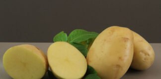 Paulo Lanzetta - Textura firme, sabor característico, polpa amarela-clara e o formato ovalado dos tubérculos são características da nova batata que atendem necessidades da indústria