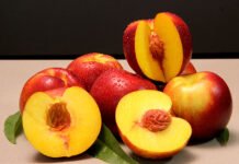 Paulo Lanzetta - Avaliada em diferentes locais no Sul e Sudeste do Brasil, a BRS Carina demonstrou boa adaptação