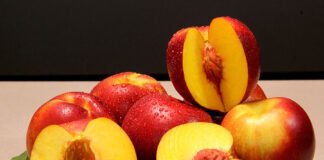 Paulo Lanzetta - Avaliada em diferentes locais no Sul e Sudeste do Brasil, a BRS Carina demonstrou boa adaptação