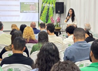 Governo do Tocantins e Grupo Gestor do Plano ABC+TO definem ações para execução até 2030