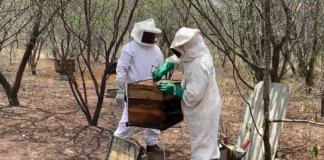 Francisco Evangelista - Ao longo de cinco anos, 508 produtores rurais foram diretamente atendidos pelo projeto e mais de 5,2 mil pessoas participaram de capacitações, dias de campo e eventos técnicos. Na foto, capacitação em apicultura