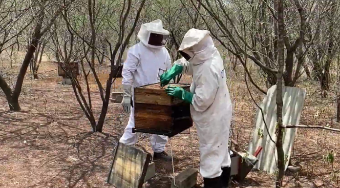 Francisco Evangelista - Ao longo de cinco anos, 508 produtores rurais foram diretamente atendidos pelo projeto e mais de 5,2 mil pessoas participaram de capacitações, dias de campo e eventos técnicos. Na foto, capacitação em apicultura