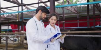 médico veterinário garante segurança alimentar no estado; entenda