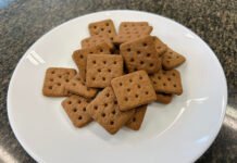 Estudo revela fatores que reduzem a rejeição a alimentos à base de insetos Kadijah Suleiman - A maioria dos produtos à base de insetos (cerca de 51%) no mercado global são, predominantemente, snacks como, por exemplo, biscoitos. Na foto, biscoito à base de farinha de inseto