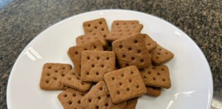 Kadijah Suleiman - A maioria dos produtos à base de insetos (cerca de 51%) no mercado global são, predominantemente, snacks como, por exemplo, biscoitos. Na foto, biscoito à base de farinha de inseto