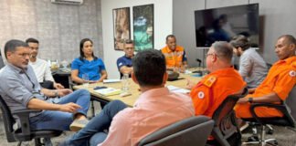 Governo do Tocantins dá início às ações para elaboração do plano de prevenção e combate a incêndios florestais de 2026