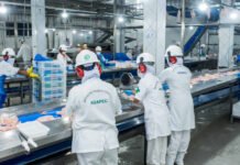 Governo do Tocantins orienta estabelecimentos com registro no Serviço de Inspeção Estadual a realizarem recadastramento até 31 de março