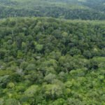 Monitoramento ambiental do Governo do Tocantins aponta queda no desmatamento e nos focos de queimadas em 2025