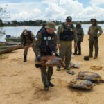 Naturatins intensifica Operação Piracema e realiza apreensões em diversas regiões do Estado