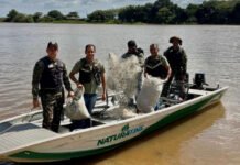 Naturatins intensifica fiscalização e apreende 6,8 mil metros de redes na Operação Piracema 2025/2026