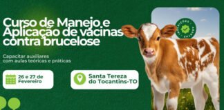 Adapec abre inscrições para curso de Manejo e Aplicação de Vacinas contra Brucelose nos municípios de Santa Tereza e Ananás