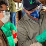 Adapec capacita produtores de Ananás e Santa Tereza sobre vacinação contra a brucelose