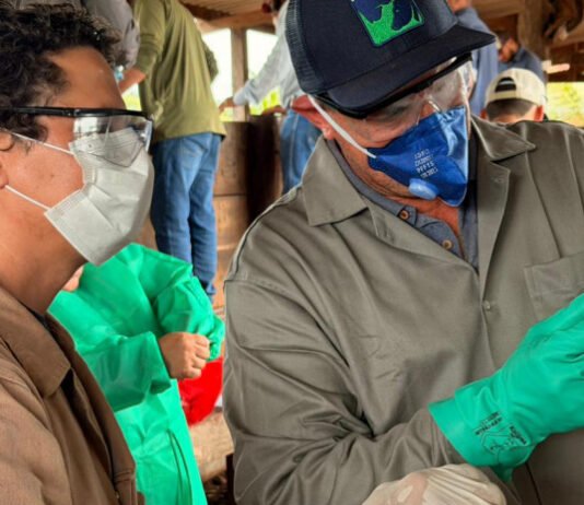 Adapec capacita produtores de Ananás e Santa Tereza sobre vacinação contra a brucelose