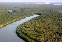 Com plano integrado, Governo do Tocantins reduz em 2.000% as queimadas no Cantão em 2025