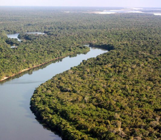 Com plano integrado, Governo do Tocantins reduz em 2.000% as queimadas no Cantão em 2025