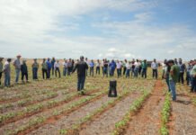 Governo do Tocantins apresenta a evolução tecnológica da cultura do algodão no estado durante Caravana da Produção 2026