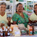 Governo do Tocantins realiza 3º Festival do Buriti, na região da APA Cantão, e fortalece a sociobiodiversidade da região