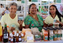 Governo do Tocantins realiza 3º Festival do Buriti, na região da APA Cantão, e fortalece a sociobiodiversidade da região