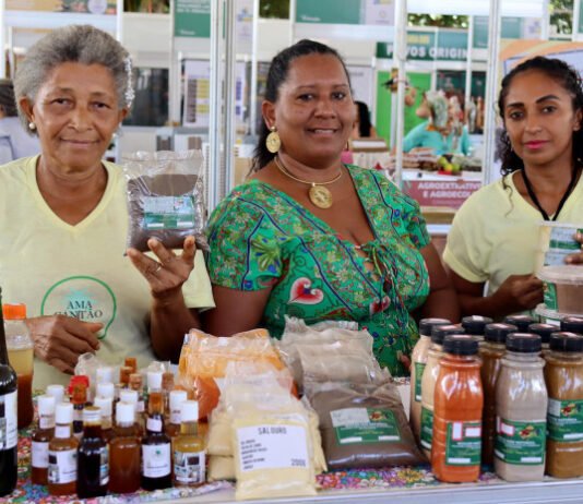 Governo do Tocantins realiza 3º Festival do Buriti, na região da APA Cantão, e fortalece a sociobiodiversidade da região