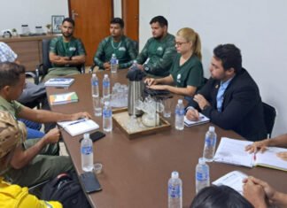 Naturatins alinha estratégias sobre o Manejo Integrado do Fogo para 2026 na região do Cantão