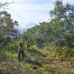 Naturatins inicia ações de prevenção a incêndios florestais no Parque Estadual do Lajeado